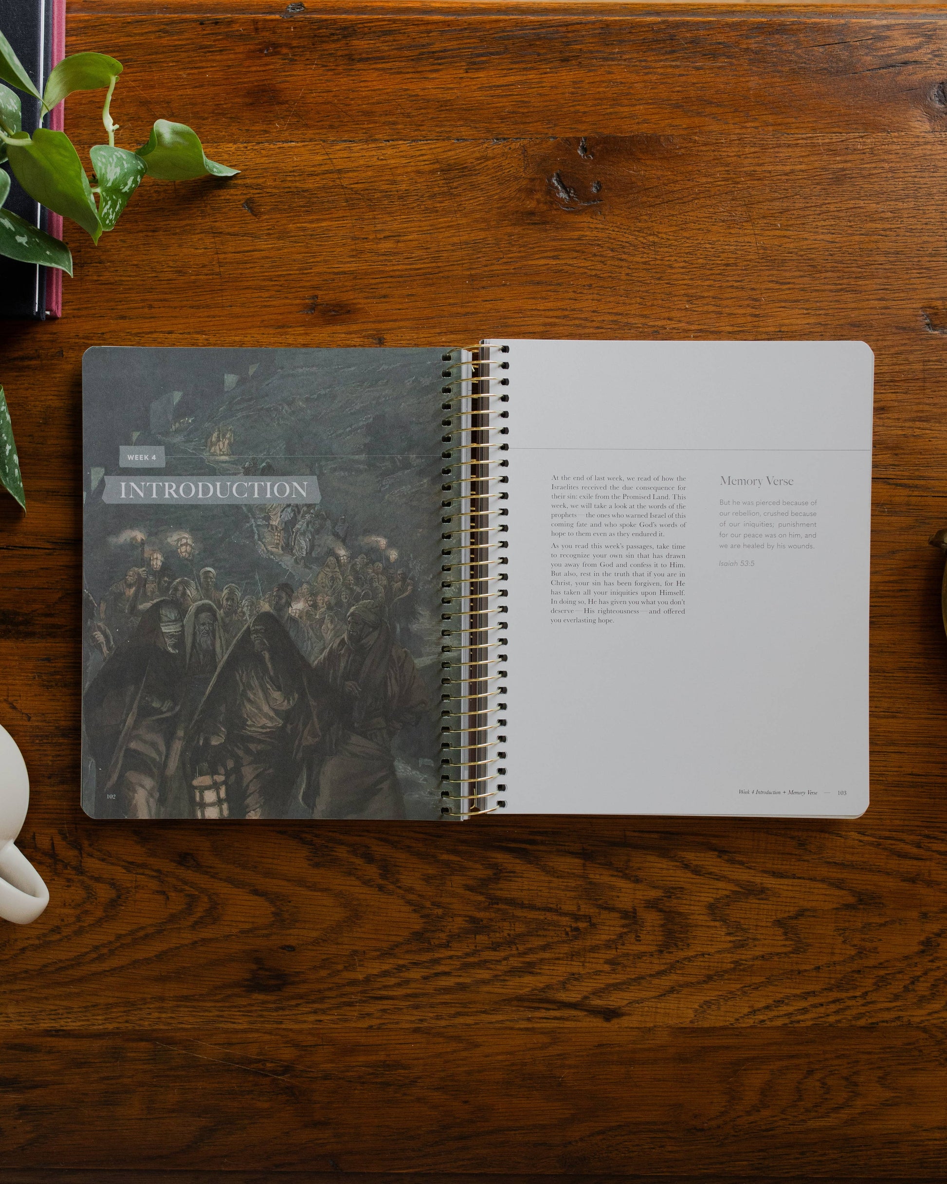 Clinging to the Cross | Lent Bible Study