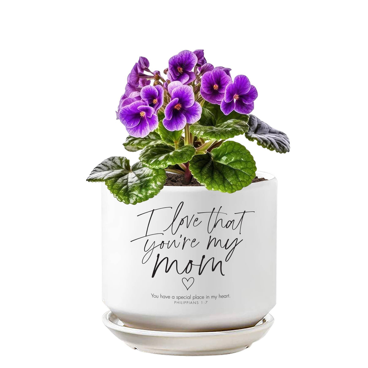 Planter Mom Philippians 1:7