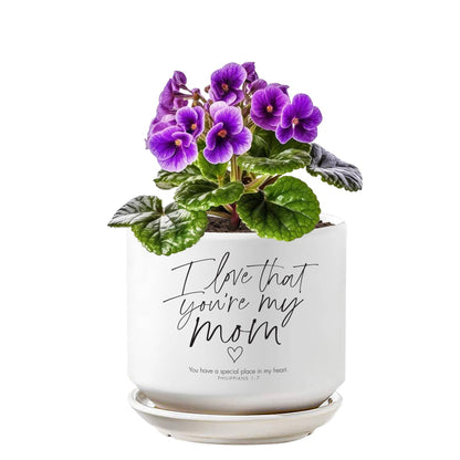 Planter Mom Philippians 1:7