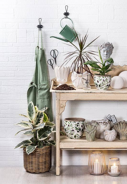 Olive & Branch Planter