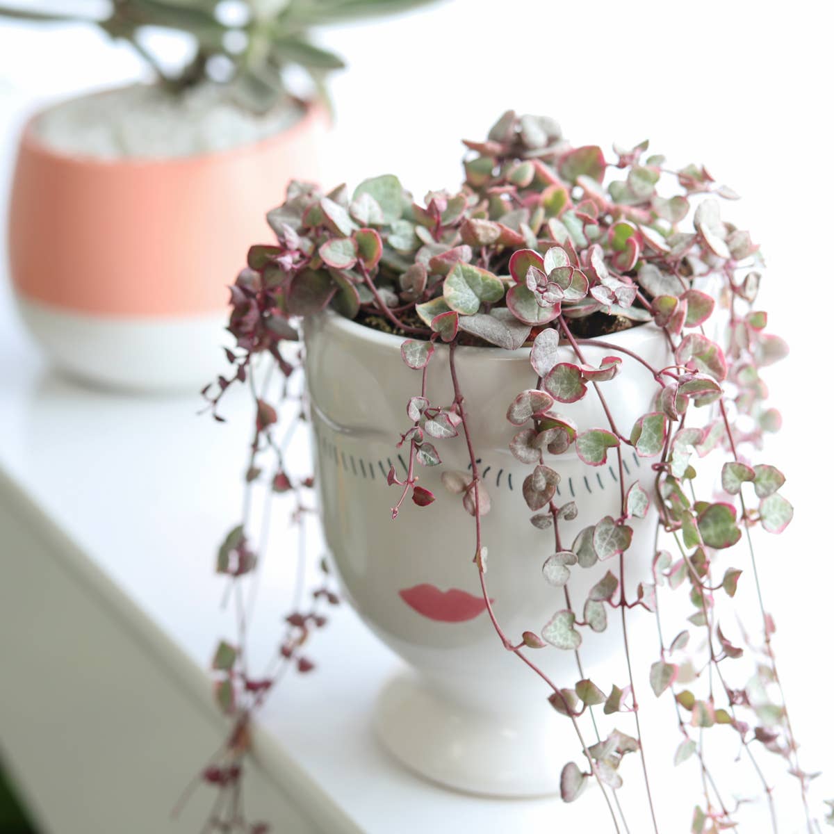 Hand-painted Lady Face Planter - Ceramic Pots For Plants