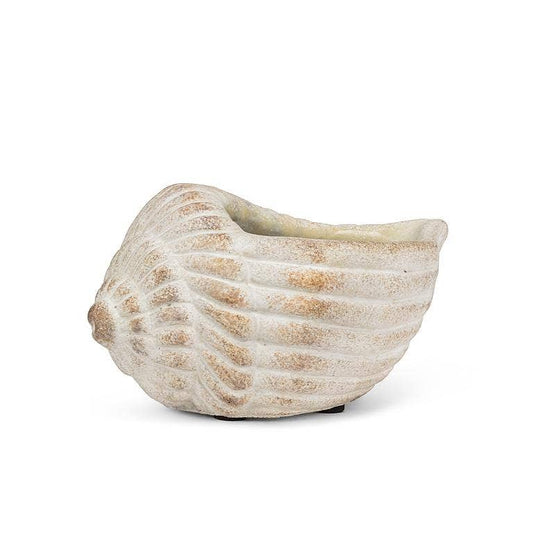Small Conch Planter-6"L