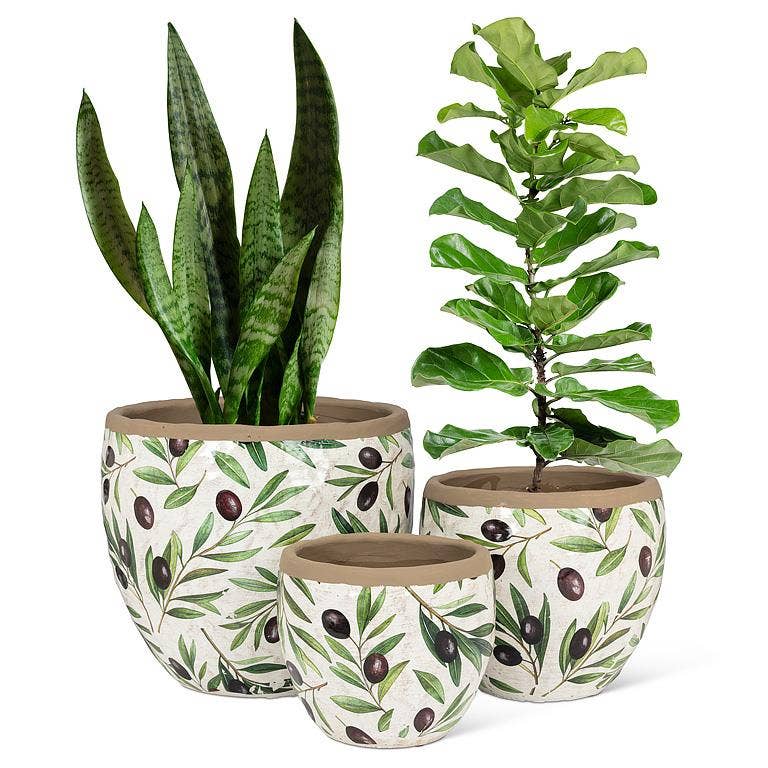Olive & Branch Planter