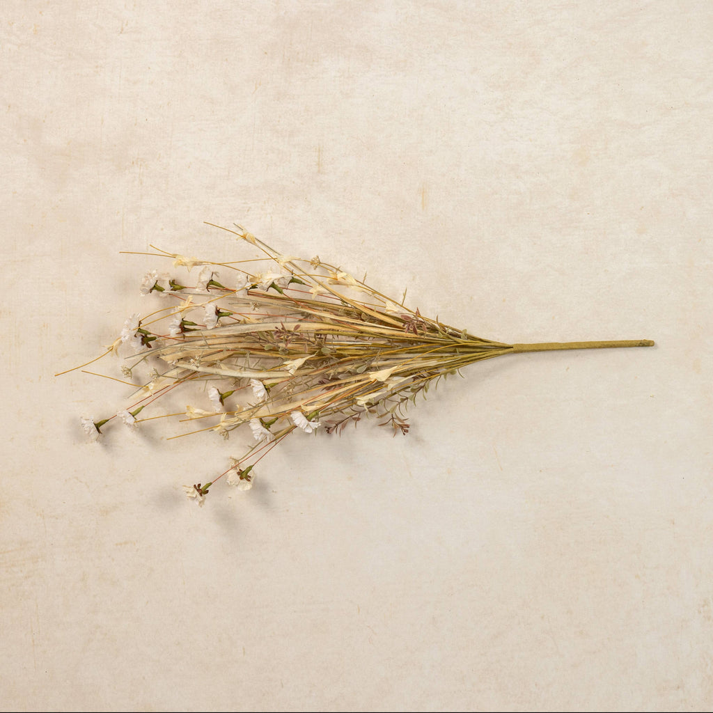 22" CREAM MINI DAISY & WILD GRASS BUSH