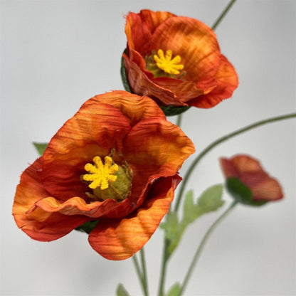 Wild Poppy Spray x5 - 29" - Burnt Orange