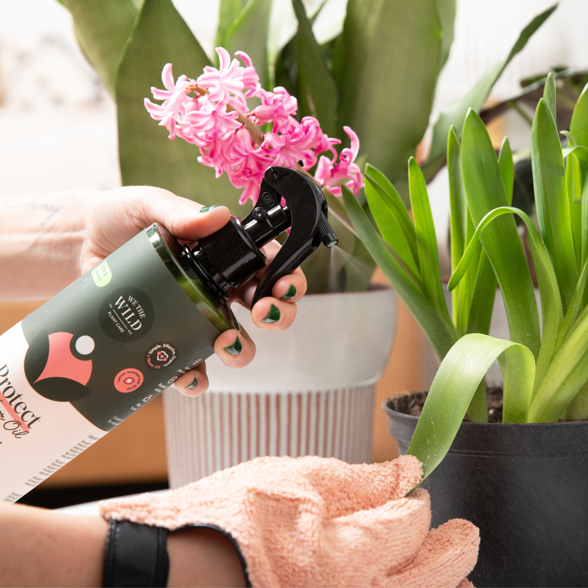 Proud Plant Mum Leaf Care Kit