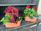 French Garden