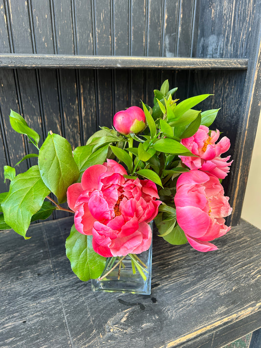 Pink Peony Club