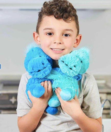 Dinosaur Warmies HUGS