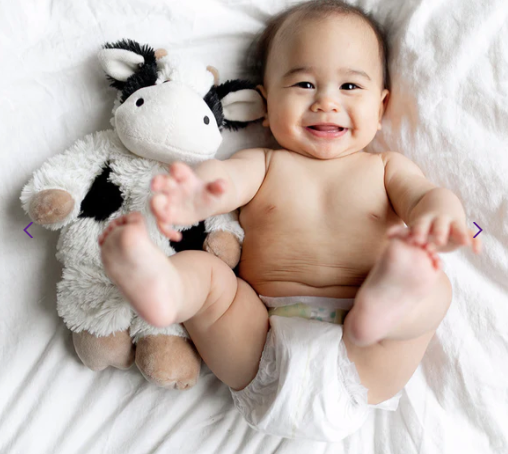 Black and White Cow Warmies