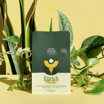 Enrich Powder