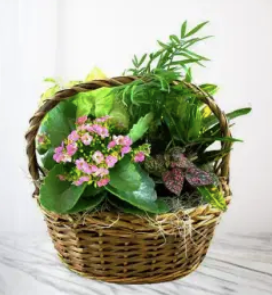 Blooming Sympathy Garden