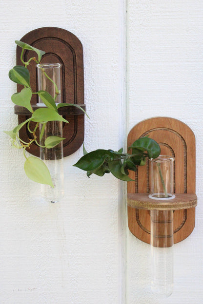 Rainbow Propagation Planter