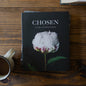 Chosen | Ephesians Study