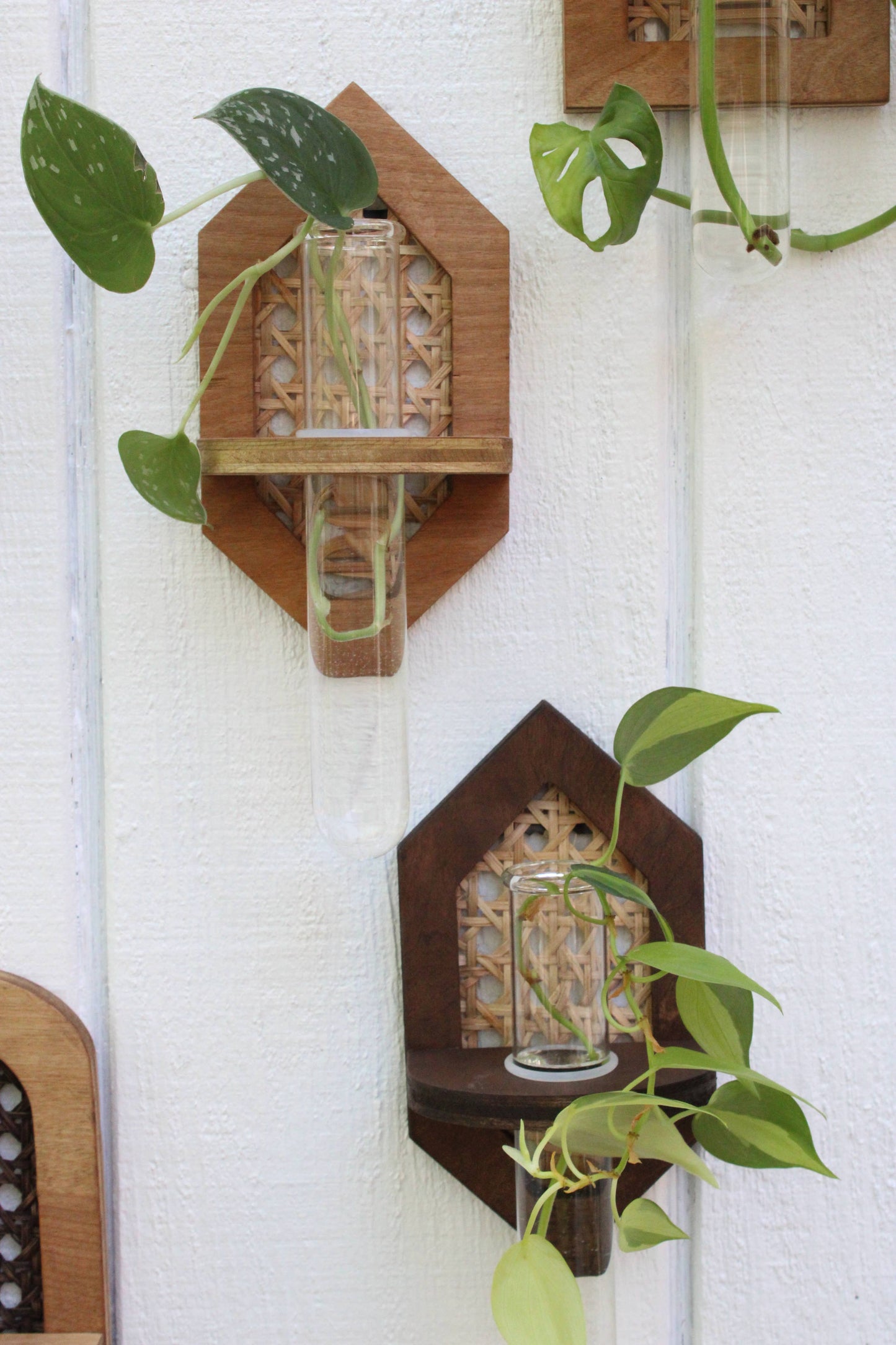 Rattan Propagation Planters