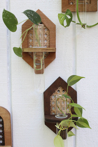 Rattan Propagation Planters