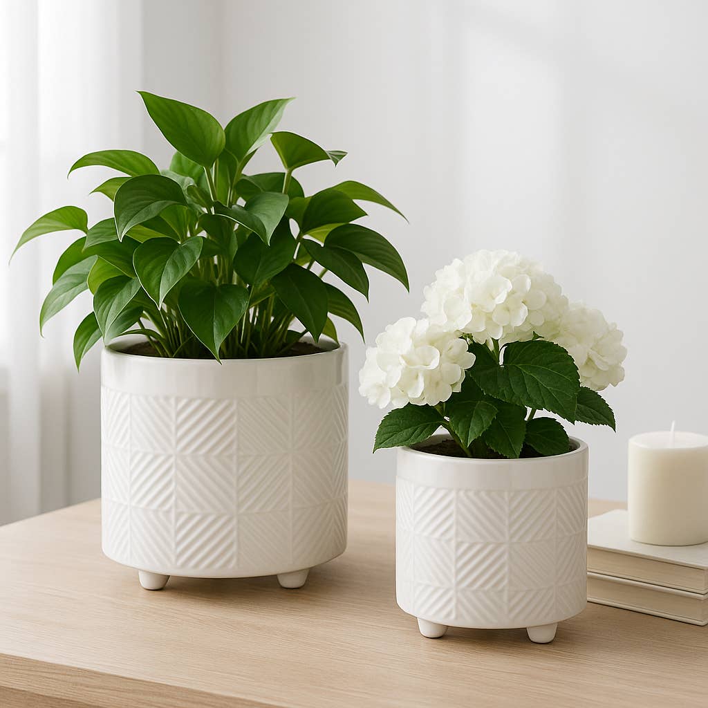 Planters Set of 2 - White Ceramic Textured Footed, 6/8 in.