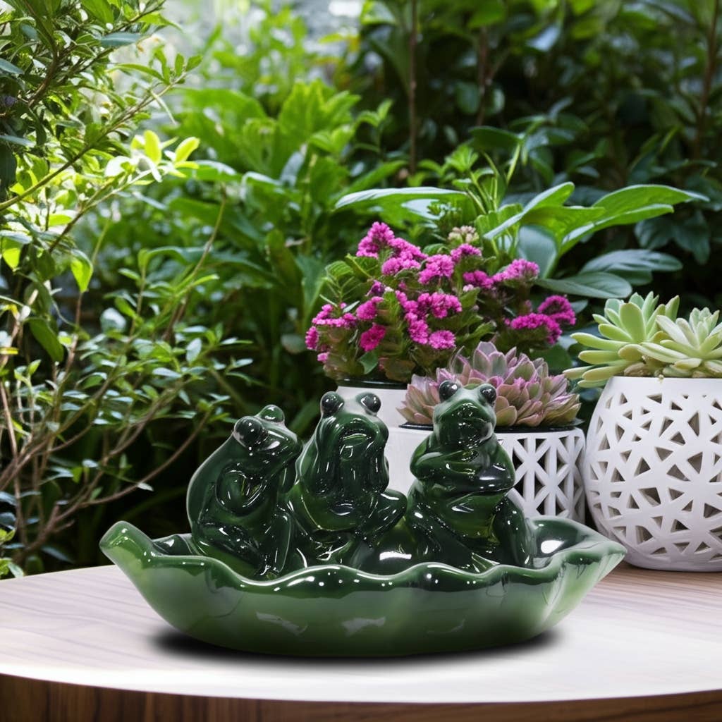 Frog Bird Feeder