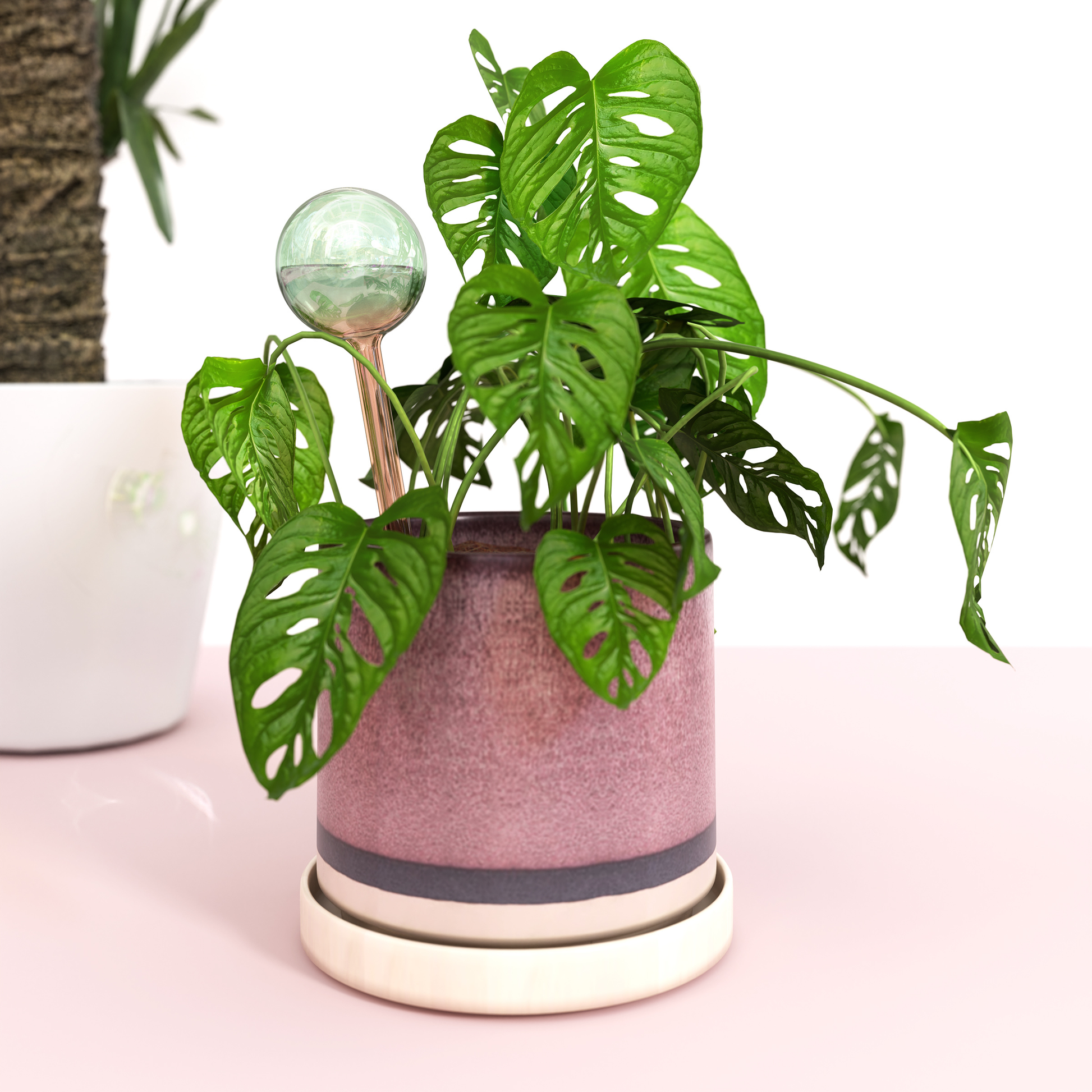 Self-Watering Plant Globes