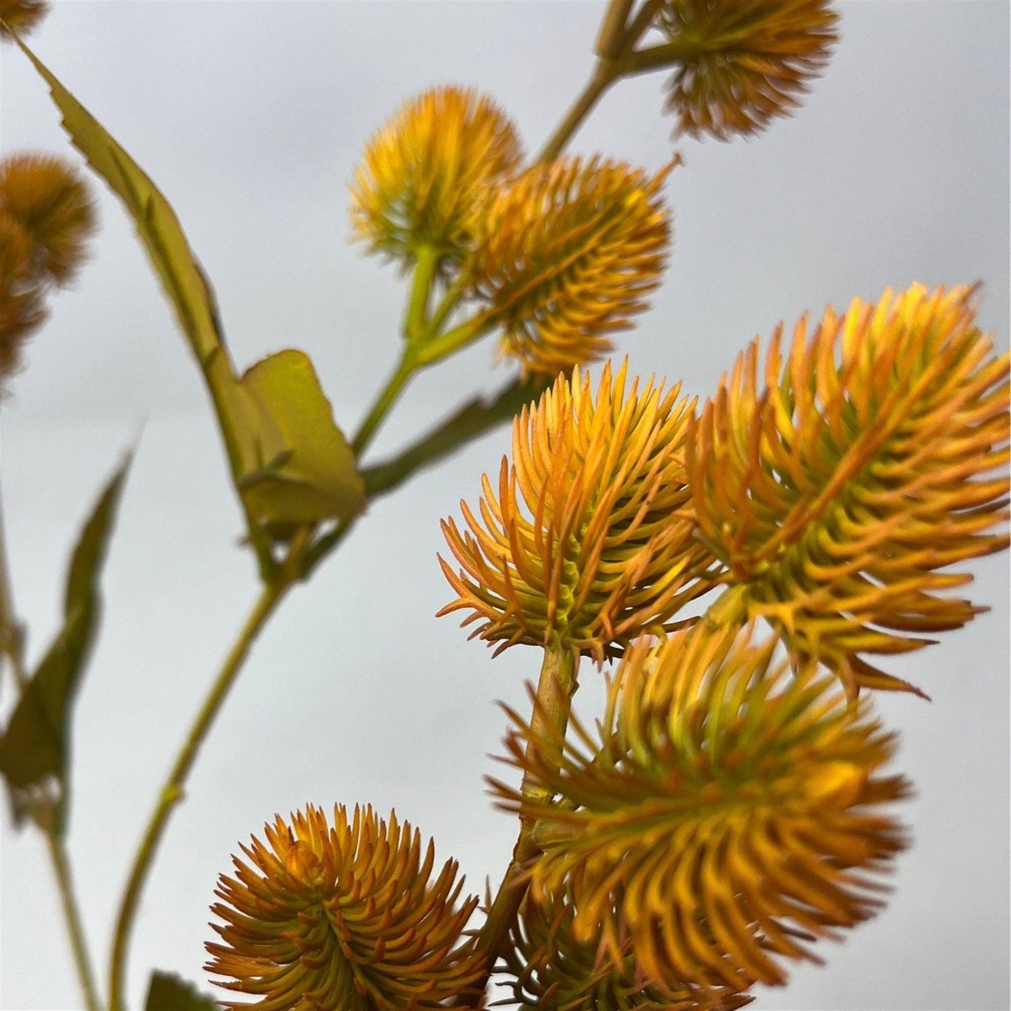Thistle Branch 32" - Gold