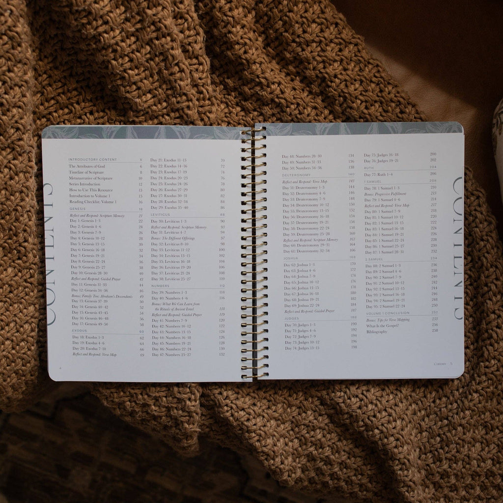 A Year in the Bible | 365 Days of Discovering the Beauty of Jesus from Genesis to Revelation | Volume 1