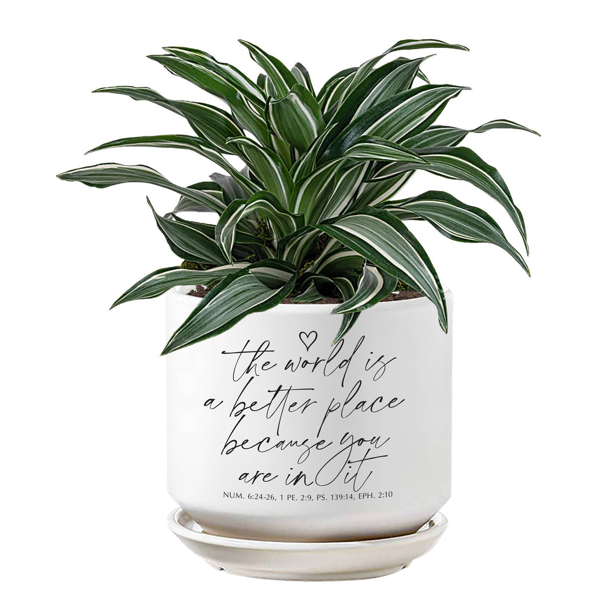 Planter The World Is A Better Place
