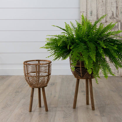 Woven Rattan Footed Baskets (Set Of 02)