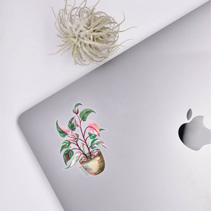 Pink Princess Sticker - House Plant Stickers