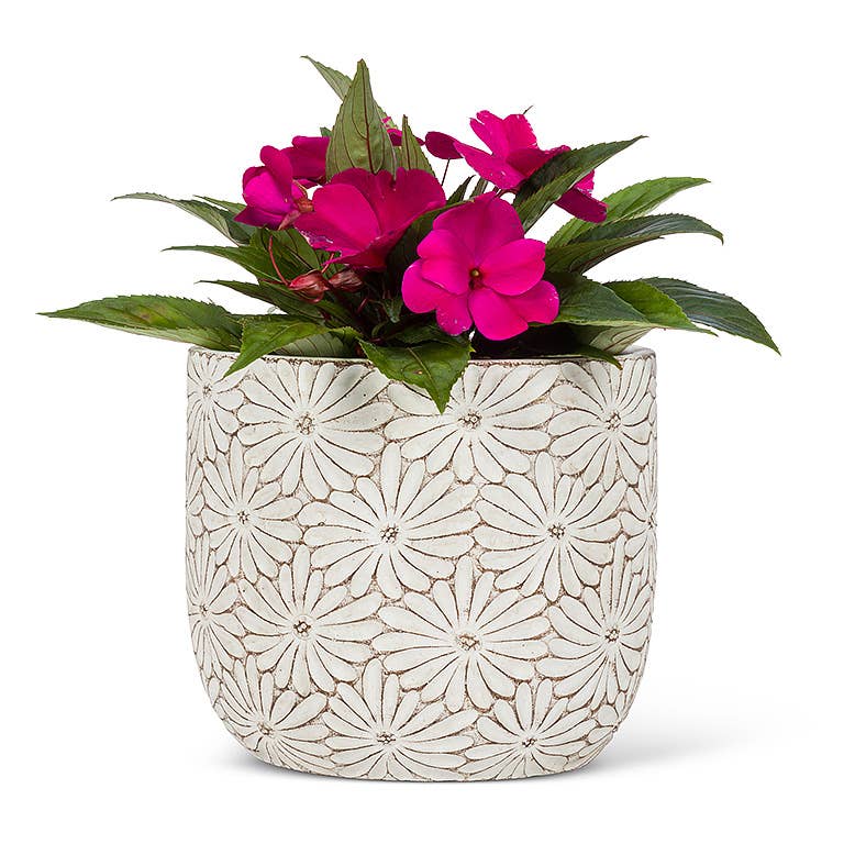 Lg Wht Daisy Round Planter-6"H-916