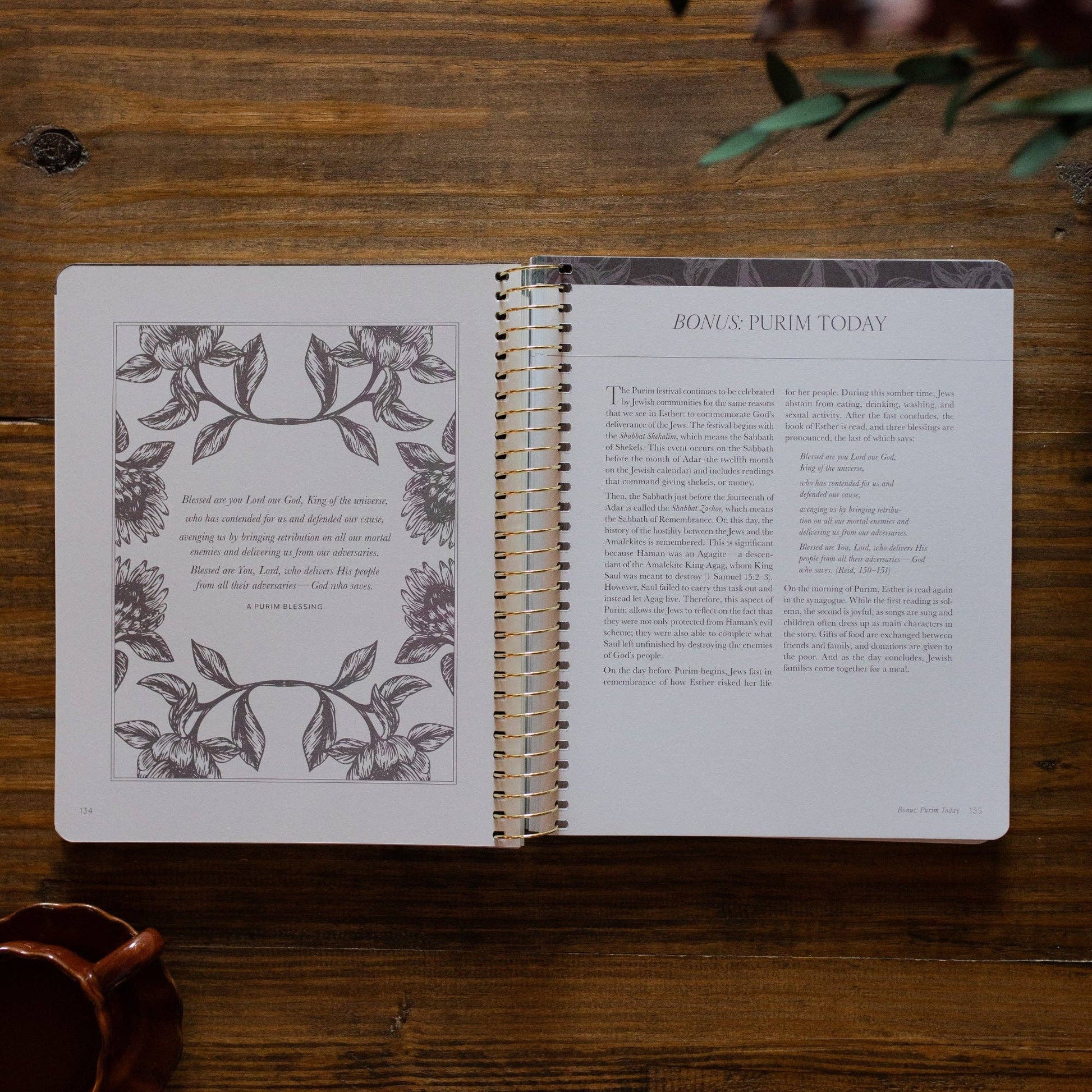 A Year in the Bible | 365 Days of Discovering the Beauty of Jesus from Genesis to Revelation | Volume 2