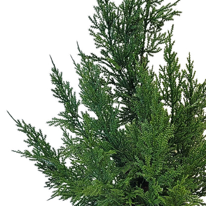 Fresh Touch Cedar Tree in Plastic Pot 21”