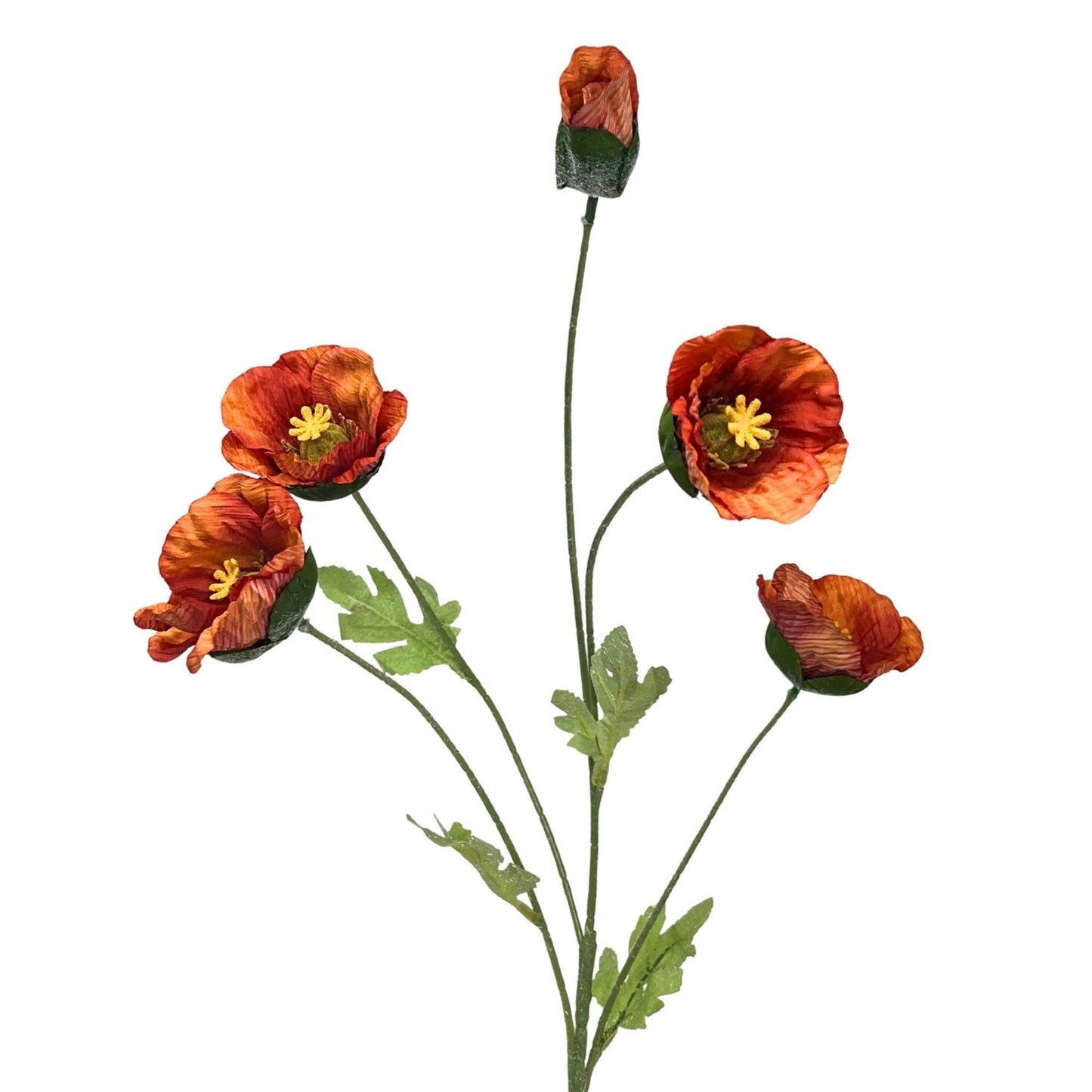Wild Poppy Spray x5 - 29" - Burnt Orange