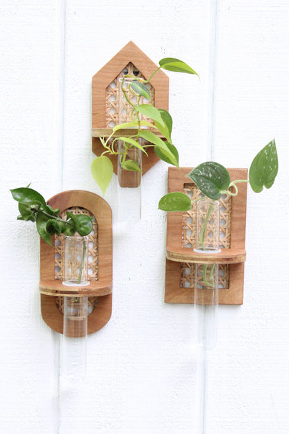 Rattan Propagation Planters