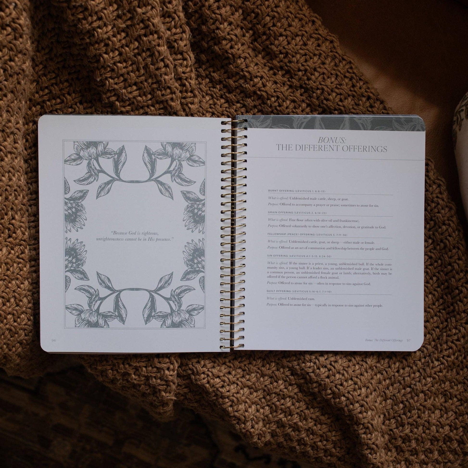 A Year in the Bible | 365 Days of Discovering the Beauty of Jesus from Genesis to Revelation | Volume 1