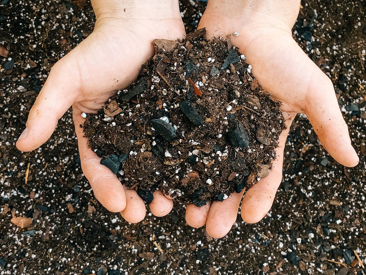 Dirt Bag: 1 Gallon