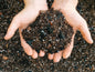 Dirt Bag: 1 Gallon