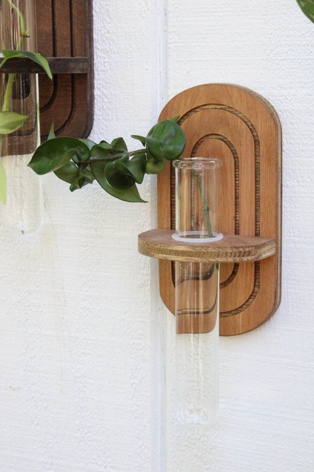 Rainbow Propagation Planter