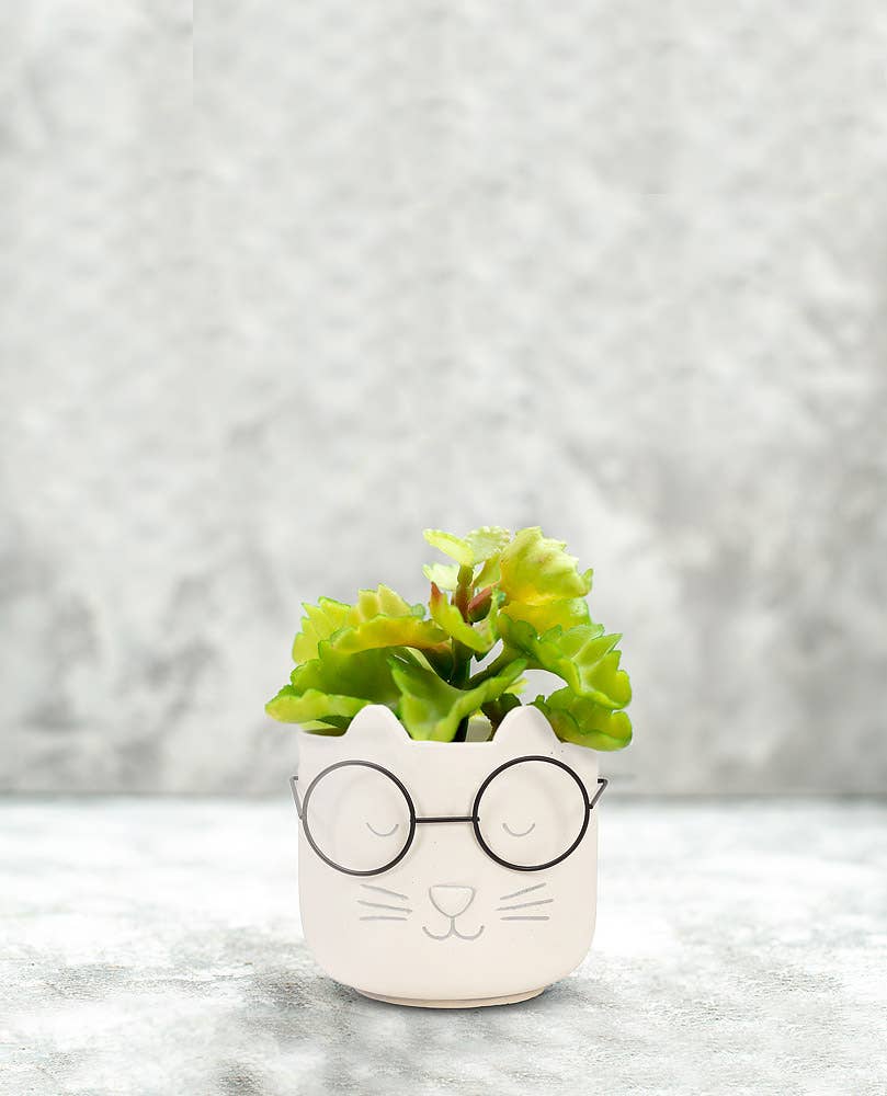 Lg Cat Face Planter w/Glasses-4.5"H-1496
