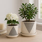 Planters Set of 2 - White Ceramic Triangle Dots, 6/8 in.