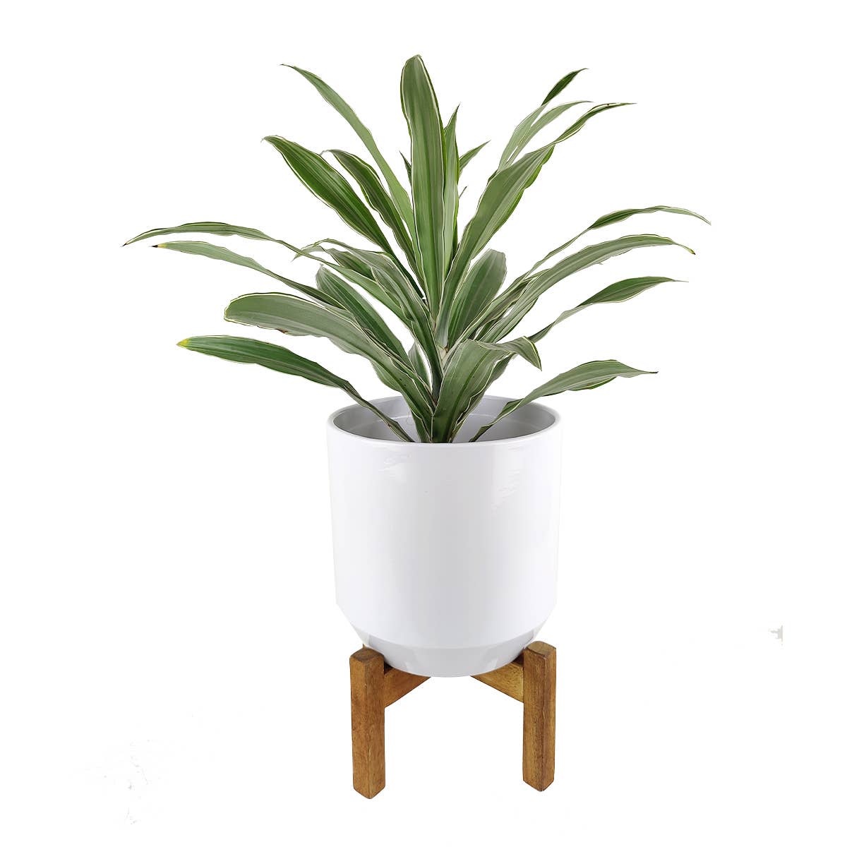 White Ceramic Pot with Wooden Stand - Pot for Houseplant