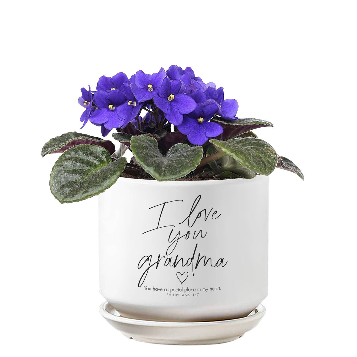 Planter Grandma Philippians 1