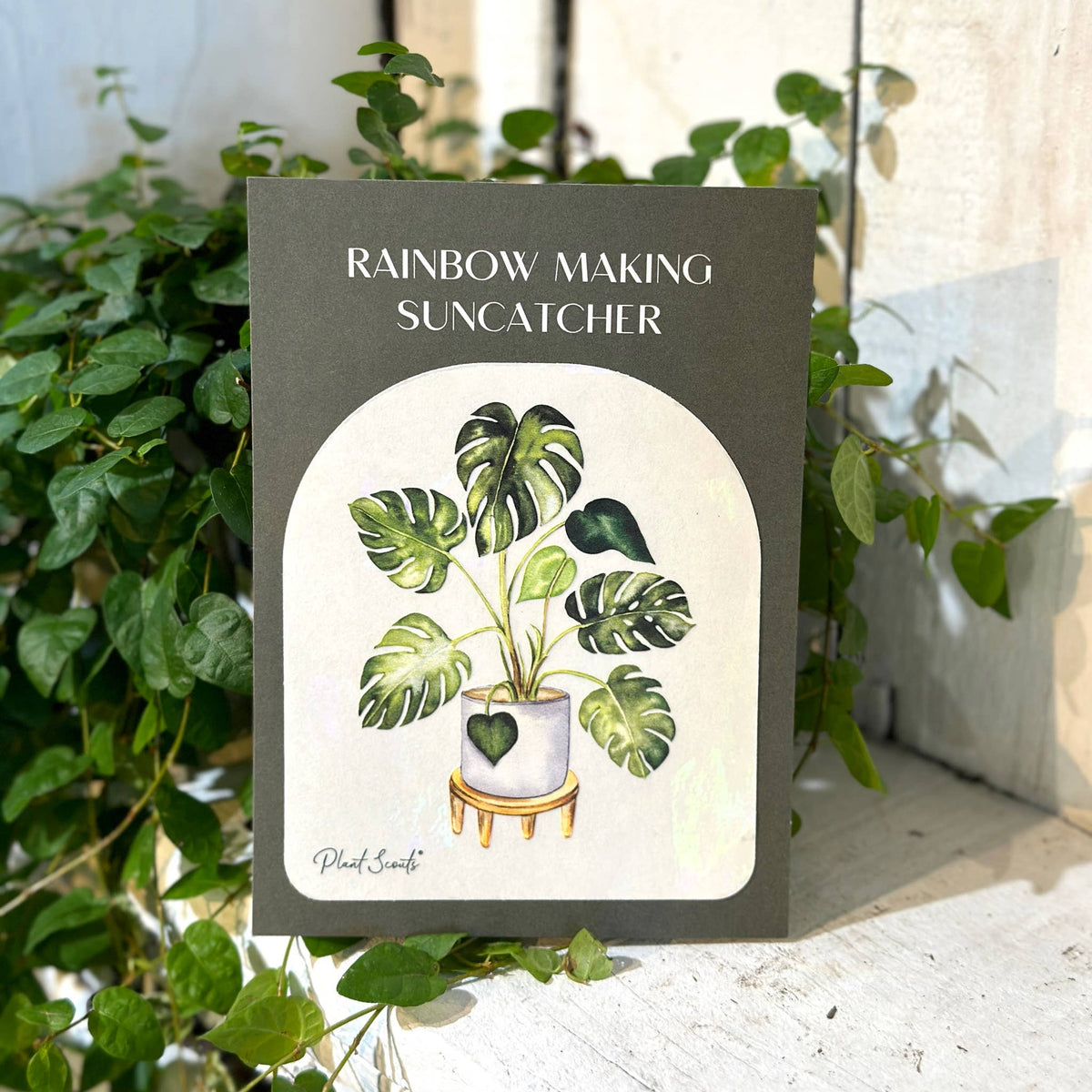 Rainbow Making Monstera Suncatcher Window Decal  Sticker