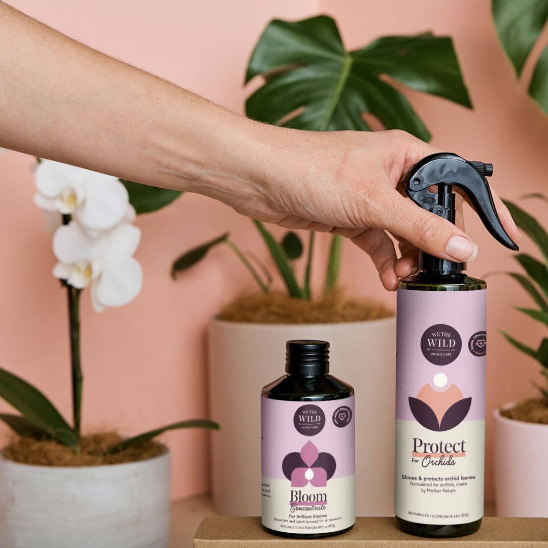 Orchid Care Essential Kit