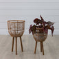 Woven Rattan Footed Baskets (Set Of 02)