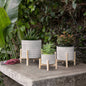 Ceramic Tribal Geometric Planter Wood Stand - Ivory, 6 in.
