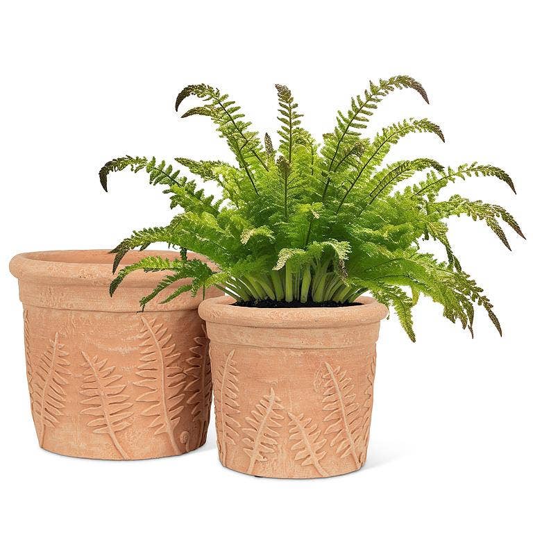 Fern Roll Rim Planter