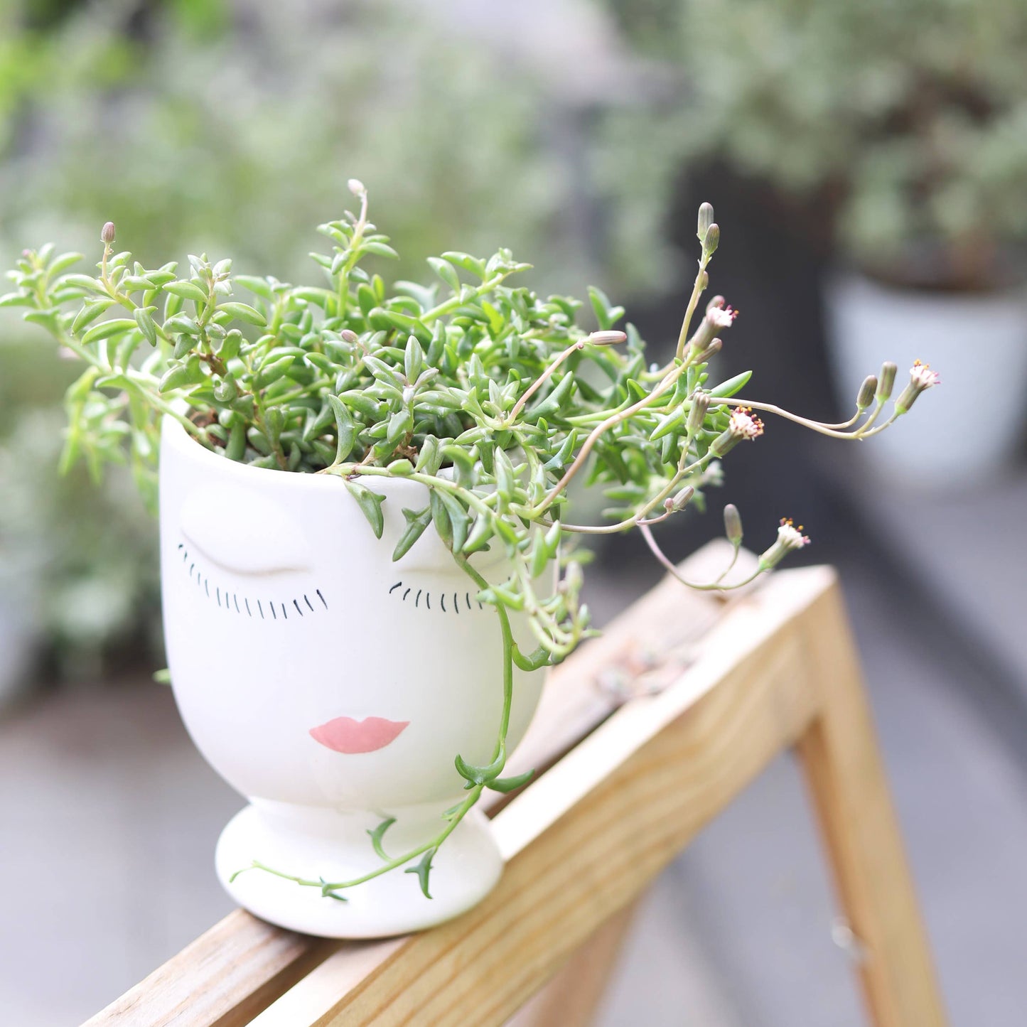 Hand-painted Lady Face Planter - Ceramic Pots For Plants