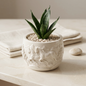 Mustang Horse Relief Planter, Gypsum White 3"
