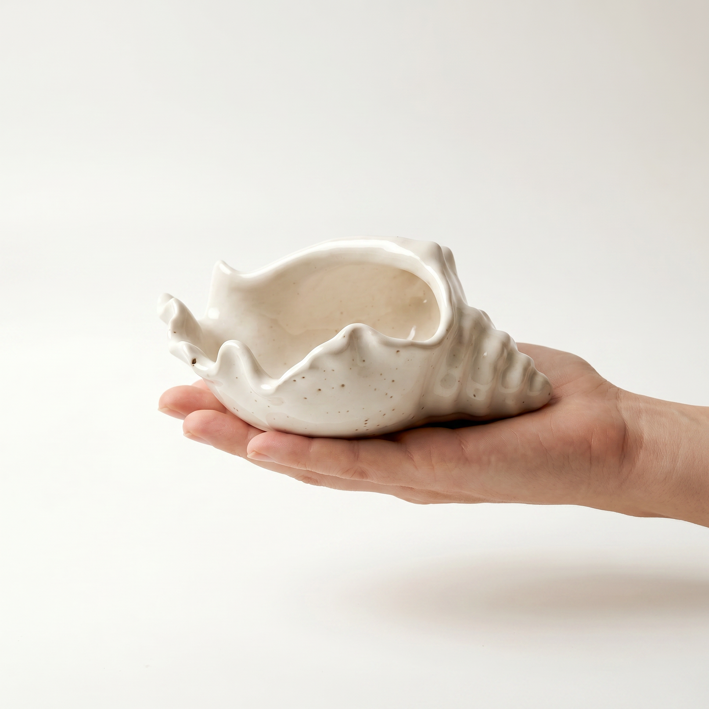Conch Shell Bowl, Gypsum White 6"