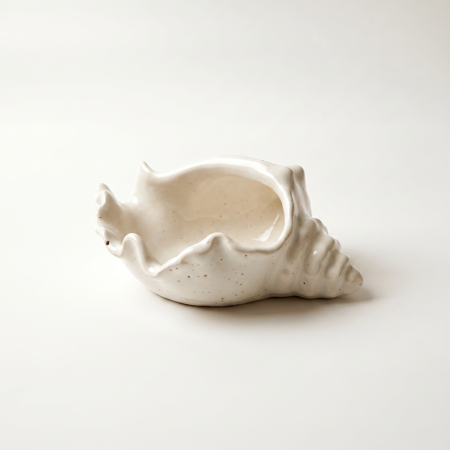 Conch Shell Bowl, Gypsum White 6"